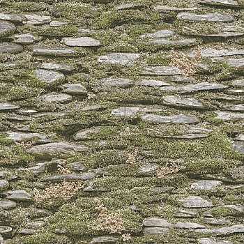Galerie Wallcoverings Product Code 7336 - Evergreen Wallpaper Collection - Green Colours -  