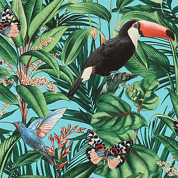 Galerie Wallcoverings Product Code AM30002 - Amazonia Wallpaper Collection - Turquoise Multi-Coloured Colours -  