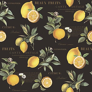 Galerie Wallcoverings Product Code G45411 - Just Kitchens Wallpaper Collection - Black Yellow Colours -  